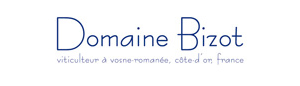 (image for) Domaine Bizot VOSNE ROMANEE LES JACHEES 1997 (Vvsdl)